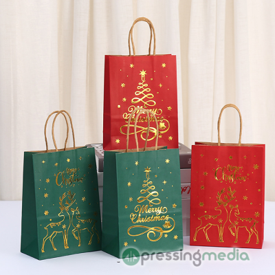 100gsm Recycled Kraft Paper Bags with Reinforced Bottom and Paper Rope Handles