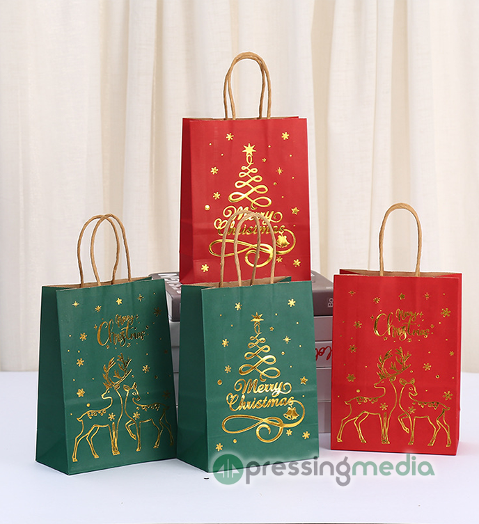 100gsm Recycled Kraft Paper Bags with Reinforced Bottom and Paper Rope Handles